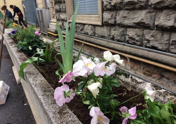 Guerrilla gardening per salvare le aiuole della città