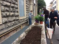Guerrilla gardening per salvare le aiuole della città
