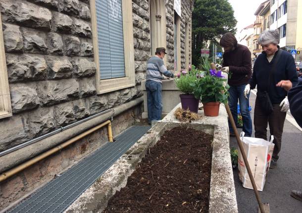 Guerrilla gardening per salvare le aiuole della città