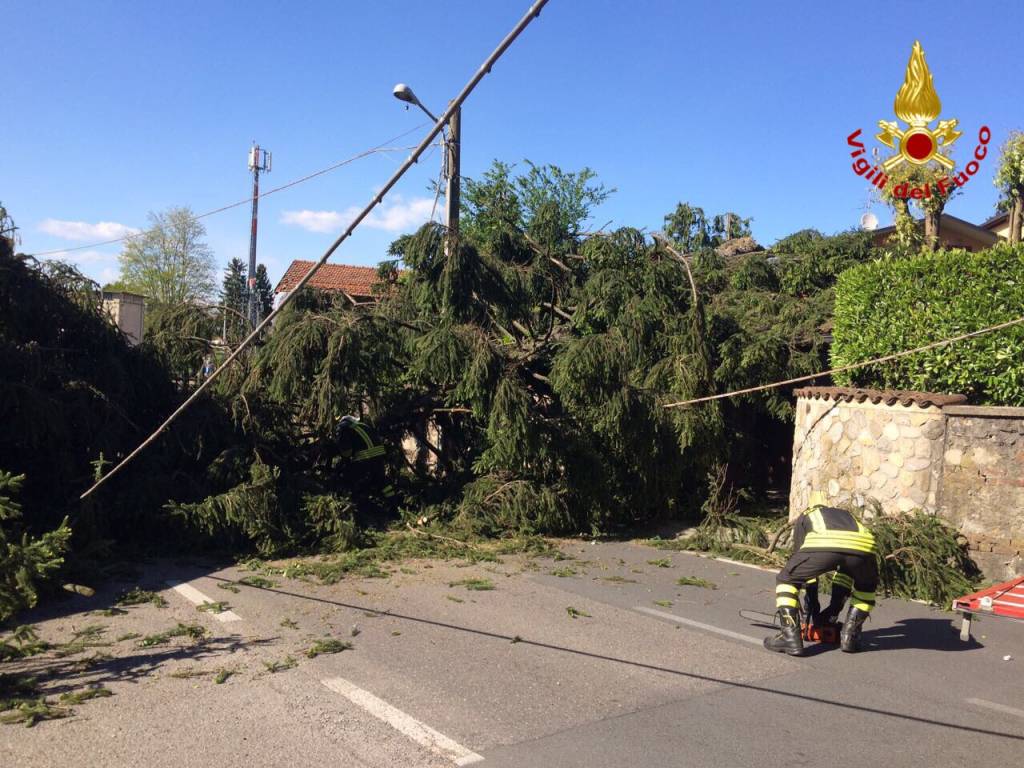 Gli interventi dei vigili del fuoco per i danni del vento