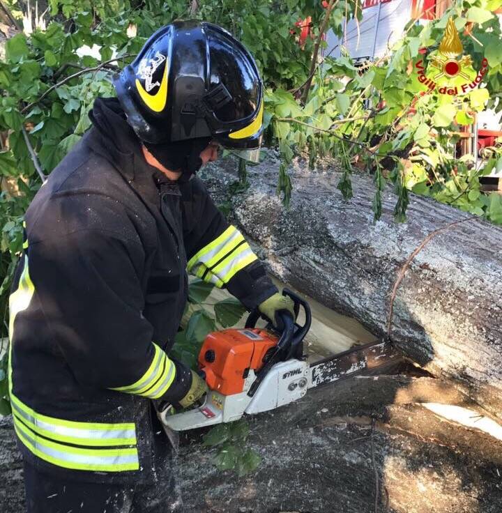 Gli interventi dei vigili del fuoco per i danni del vento