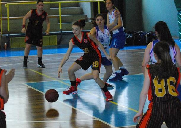 Bulldog Canegrate aprile 2017