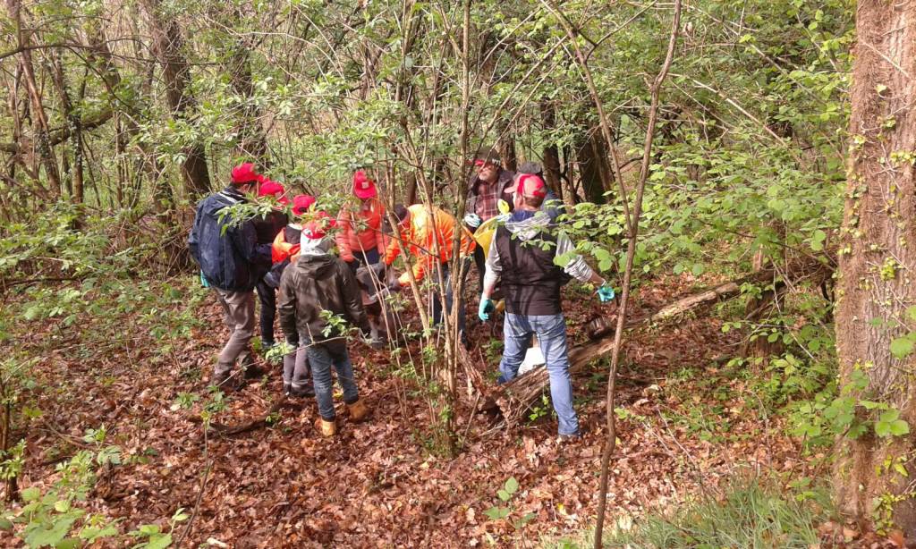 Giornata del Verde Pulito a Comerio