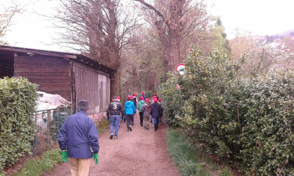 Giornata del Verde Pulito a Comerio