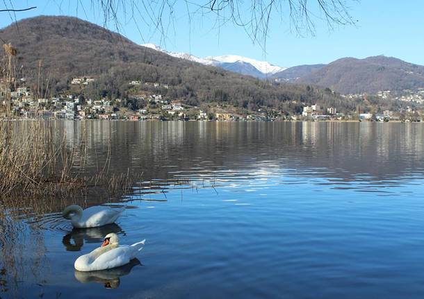 Lago Ceresio - foto di Laura Olivas