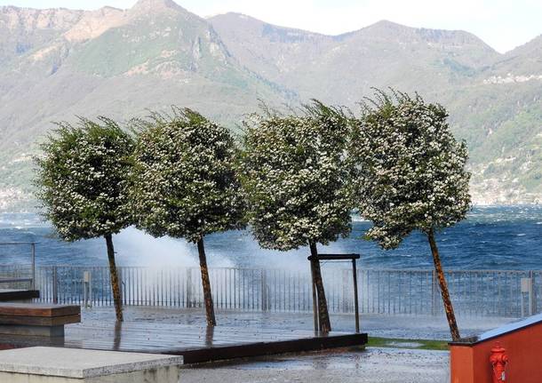 lago maggiore vento luino candido quatrale