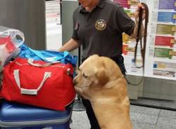 Operazione antidroga "Bad stuff" a Malpensa