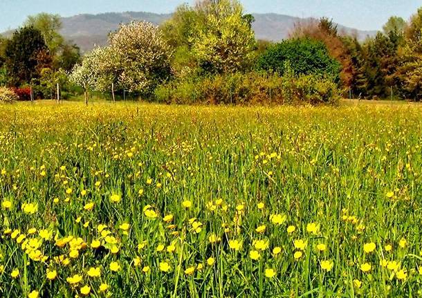 Pasquetta 2017: le foto dei lettori