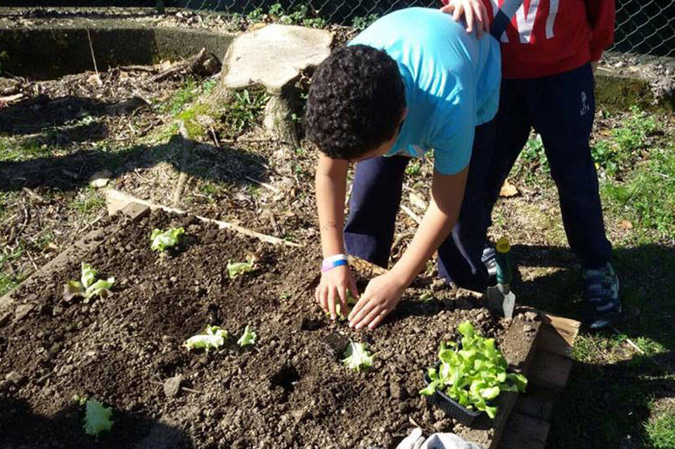 Porto Ceresio - Orto didattico scuola elementare
