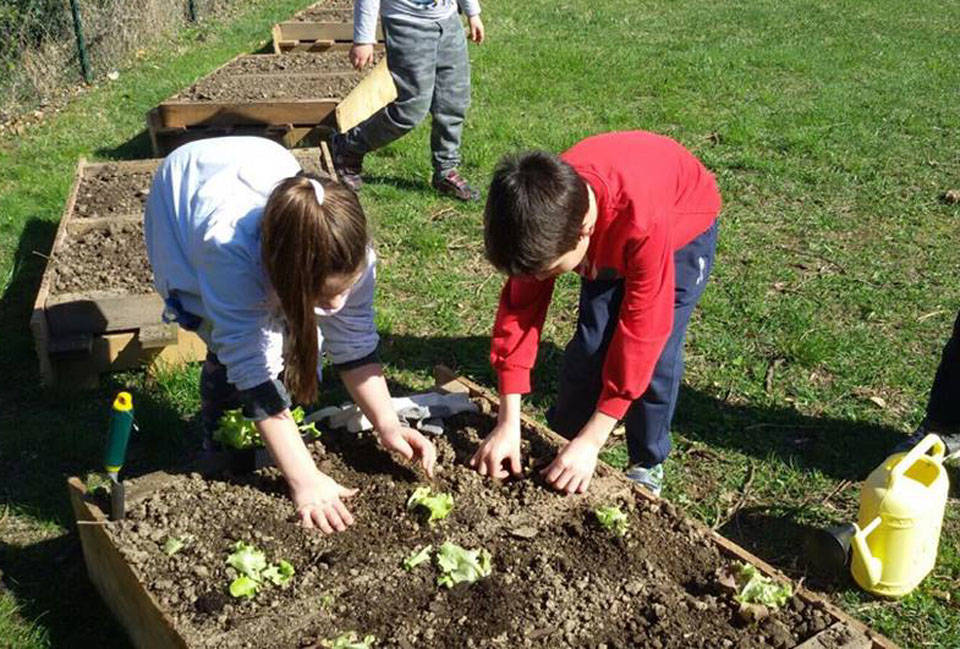 Porto Ceresio - Orto didattico scuola elementare