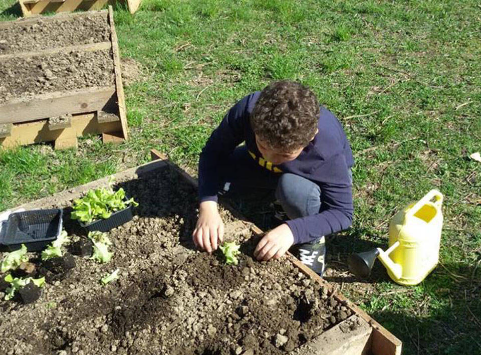 Porto Ceresio - Orto didattico scuola elementare