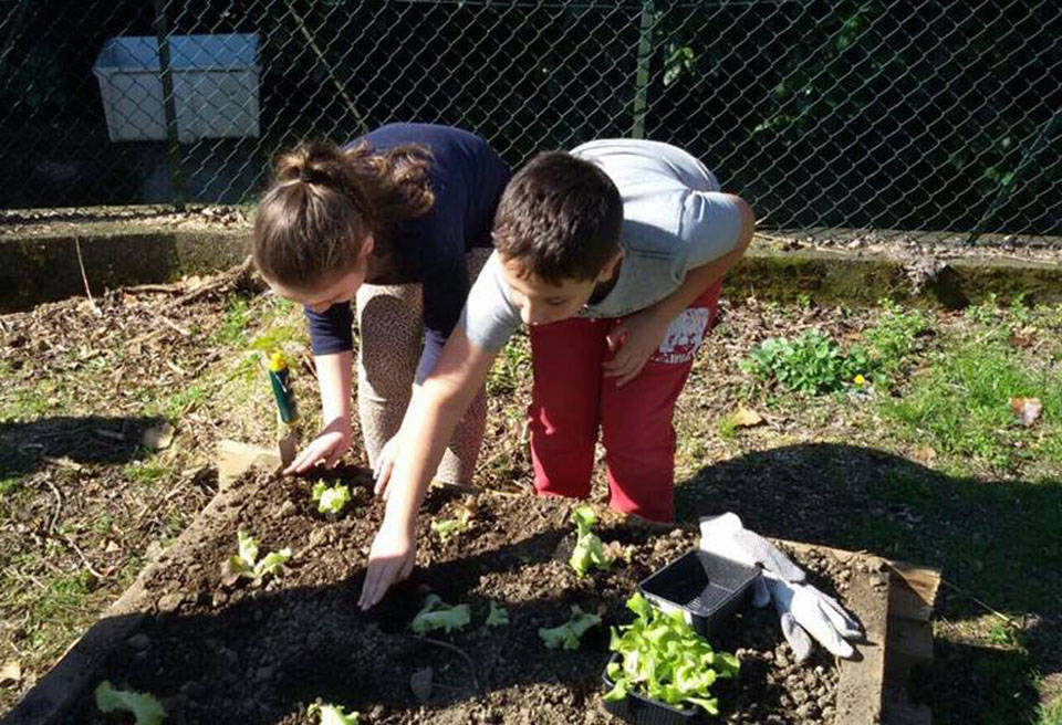 Porto Ceresio - Orto didattico scuola elementare