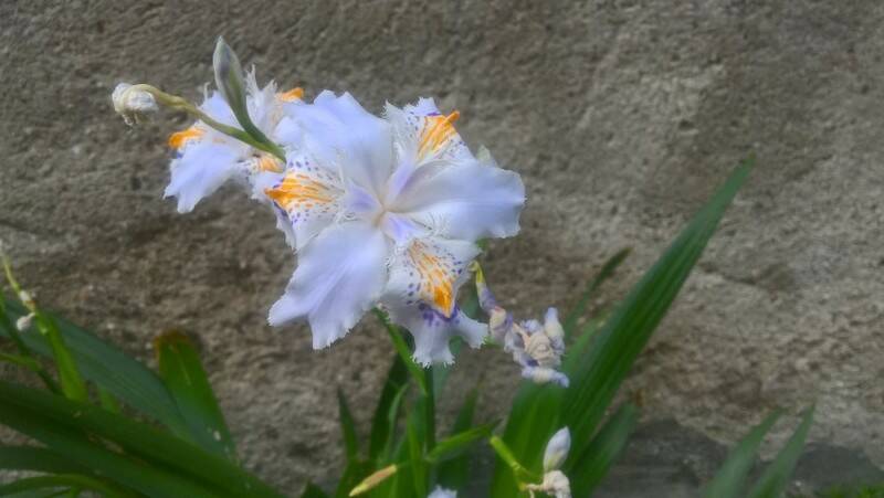 WP 20170414 10 34 59 Pro