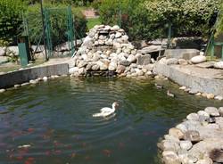 Borri costruzione giardini