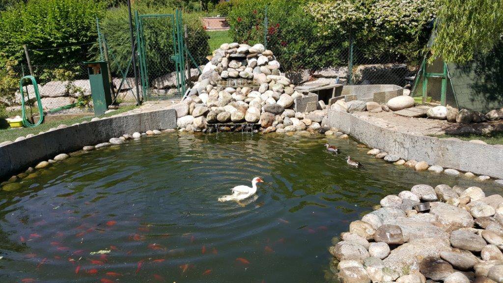 Borri costruzione giardini