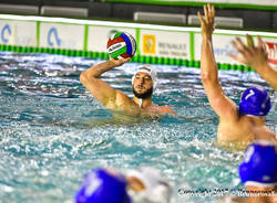 bpm sport management