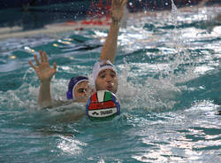 bpm sport management Stefano Luongo