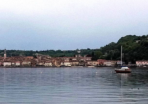 Arona