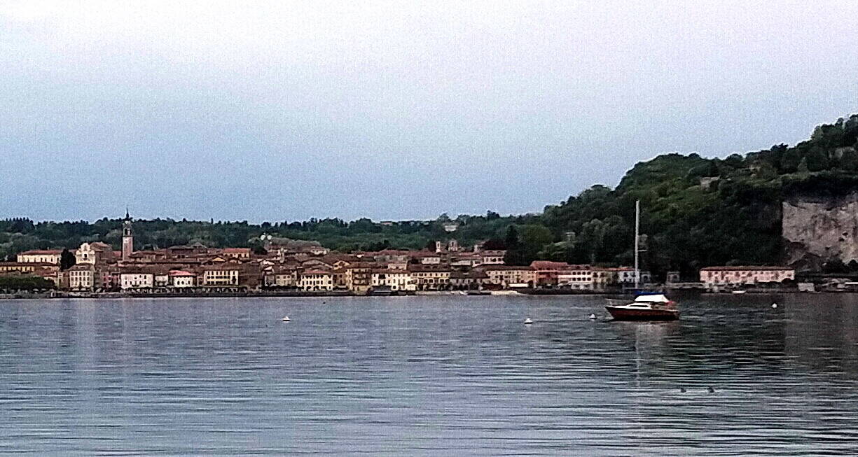 Arona