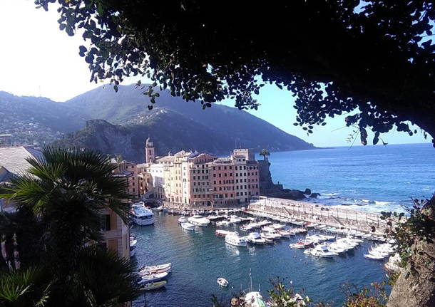 Camogli