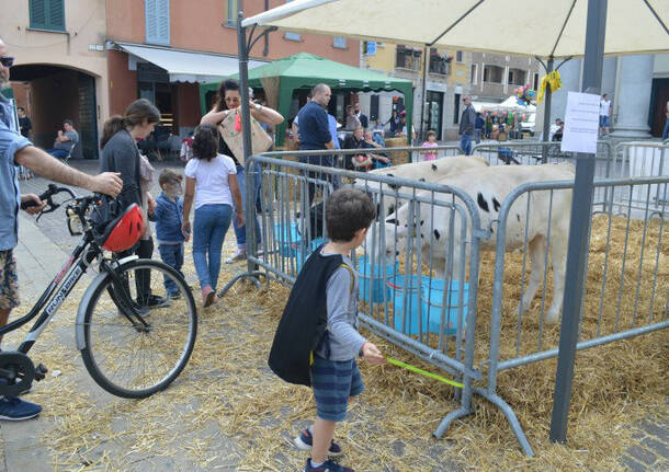 Sagra di San Vittore 2017 –  Rho