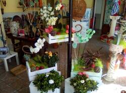fiore maggio 00002