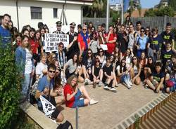 gallarate generico