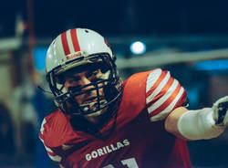 gorillas varese