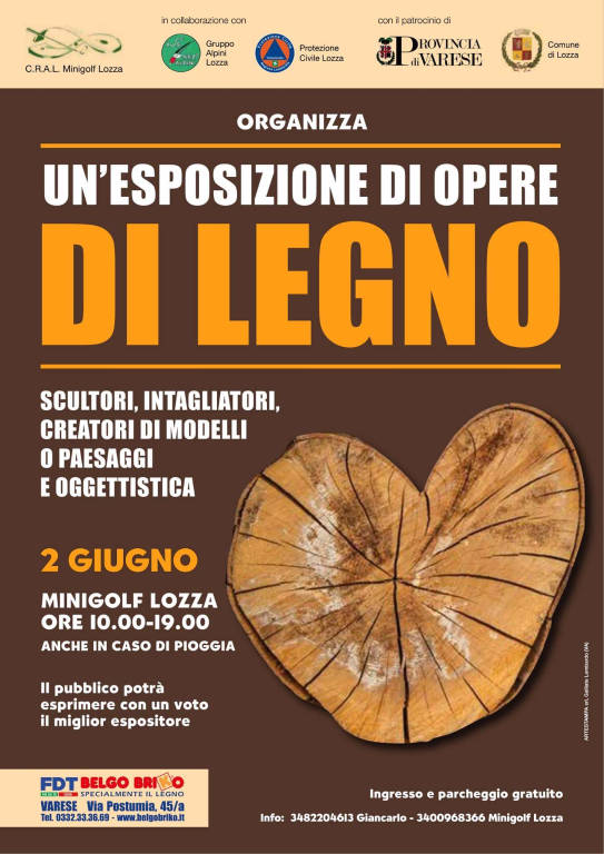 Il legno in mostra a Lozza