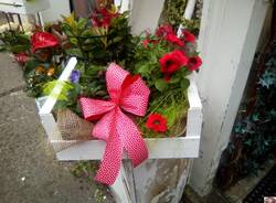 Image00007