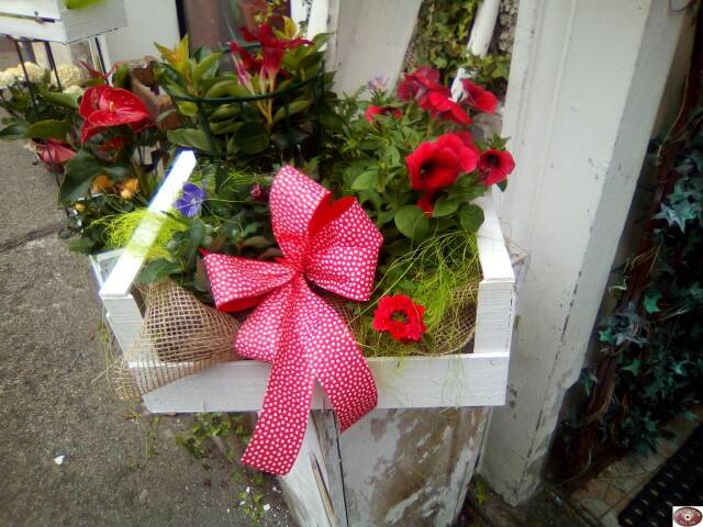 Image00007
