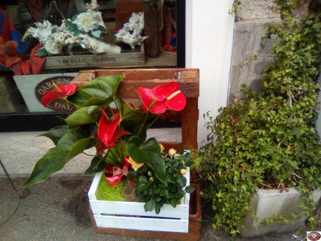 Image00010