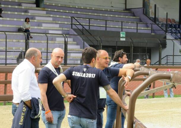 Legnanonews in Palio – venerdì 26 maggio 2017