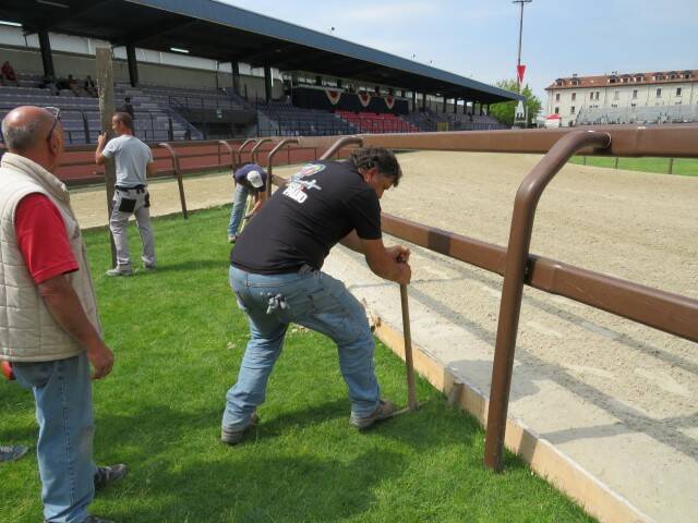 IMG 3421