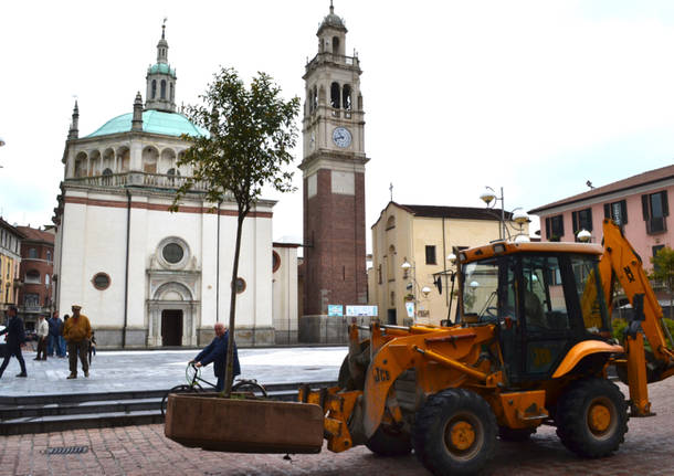 Inizia la pedonalizzazione di Piazza Santa Maria