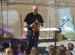 L'oca becco di rame a Cunardo