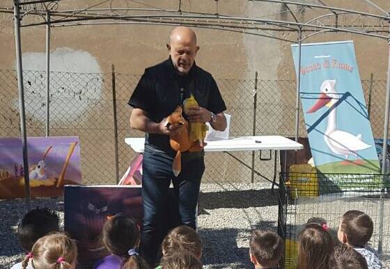 L'oca becco di rame a Cunardo