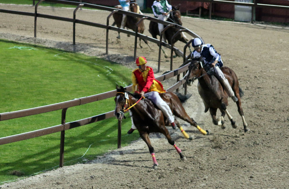 legnarello palio di legnano 2017