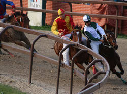 legnarello palio di legnano 2017