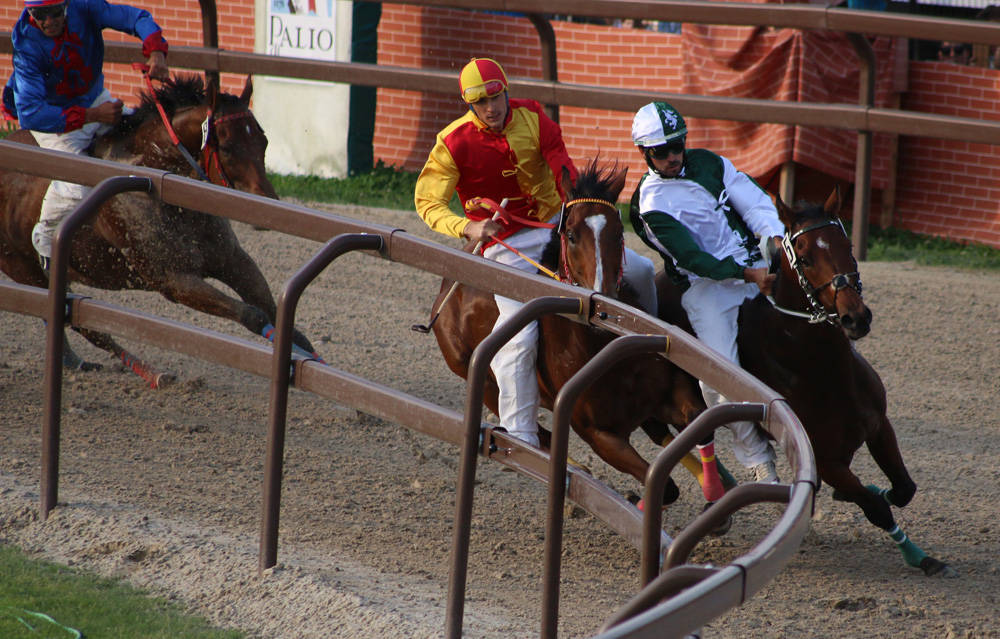 legnarello palio di legnano 2017