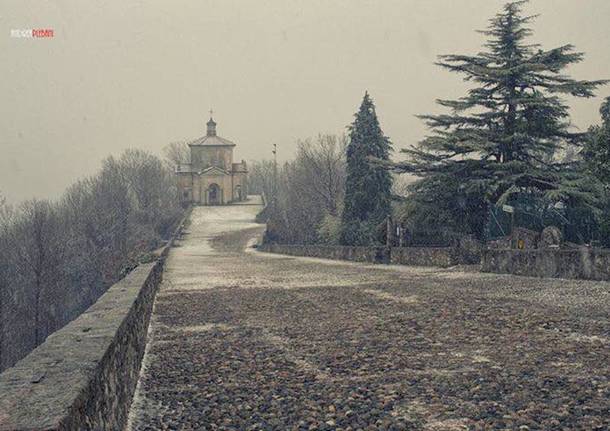 maggio 2017