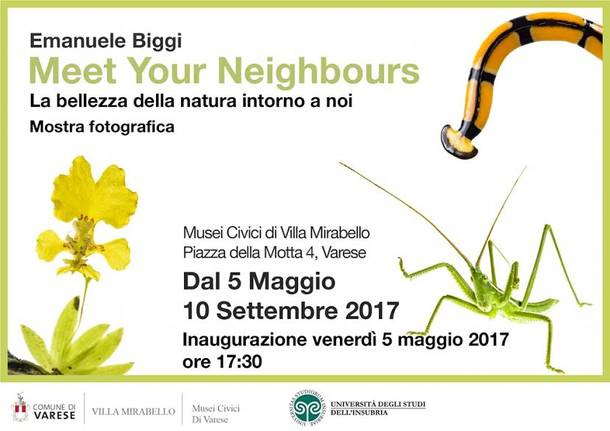 mostra fotografica "Meet your neighbours" di emanuele biggi