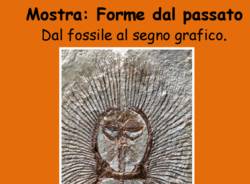 mostra museo realini malnate