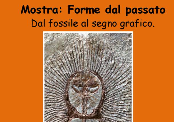 mostra museo realini malnate