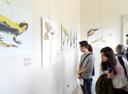 Mostra natura  Villa Mirabello