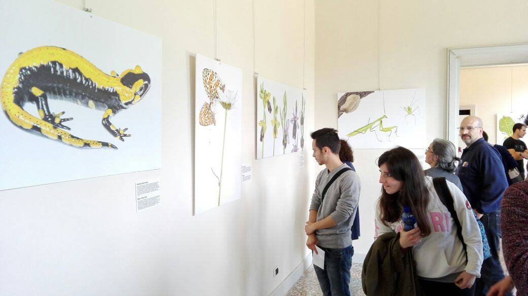 Mostra natura  Villa Mirabello