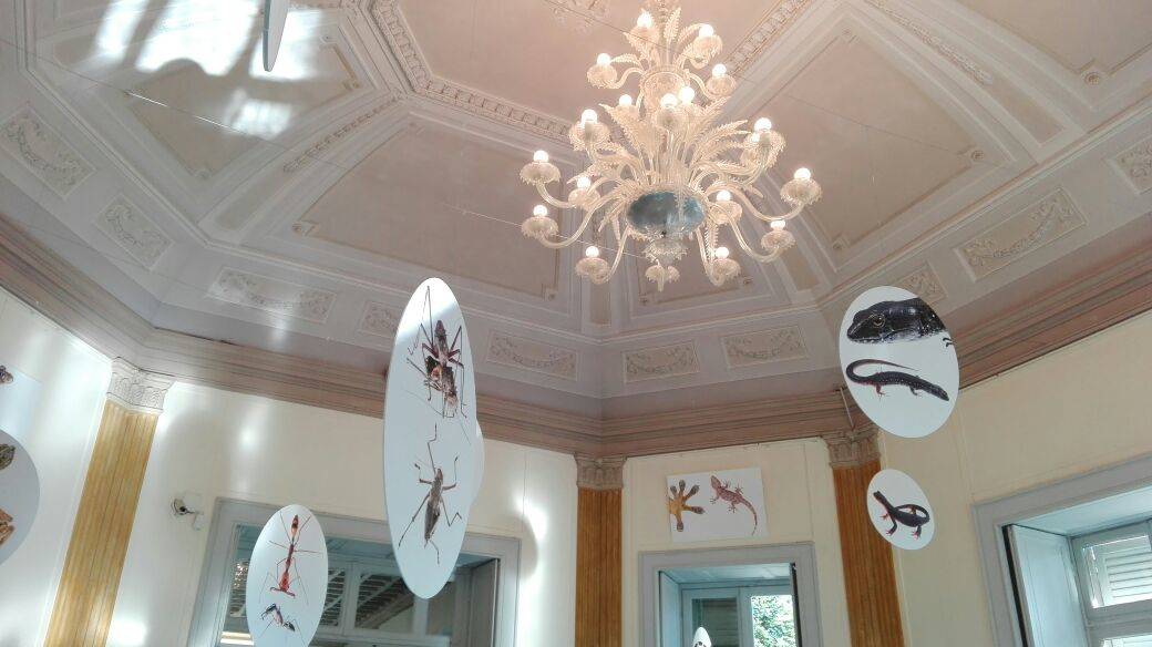 Mostra natura  Villa Mirabello