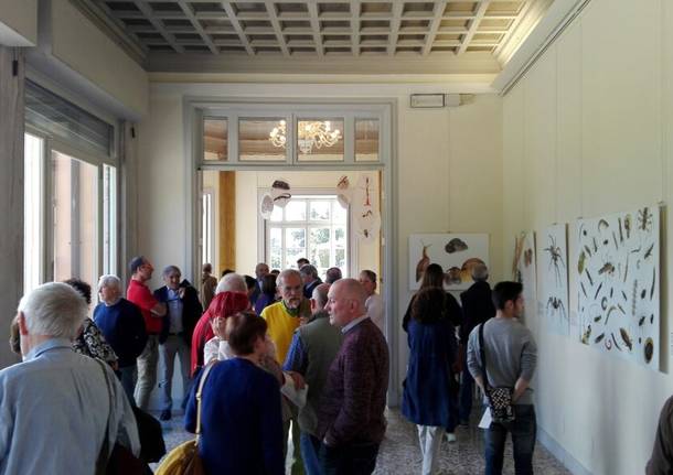 Mostra natura Villa Mirabello