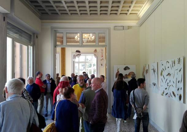 Mostra natura  Villa Mirabello