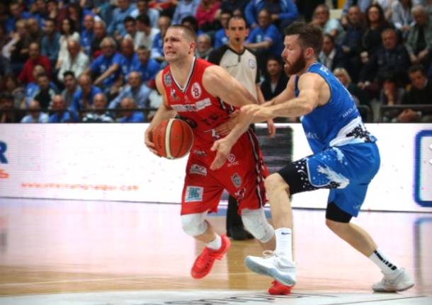 nik raivio basket knights legnano